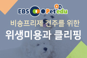 강좌이미지