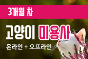 강좌이미지